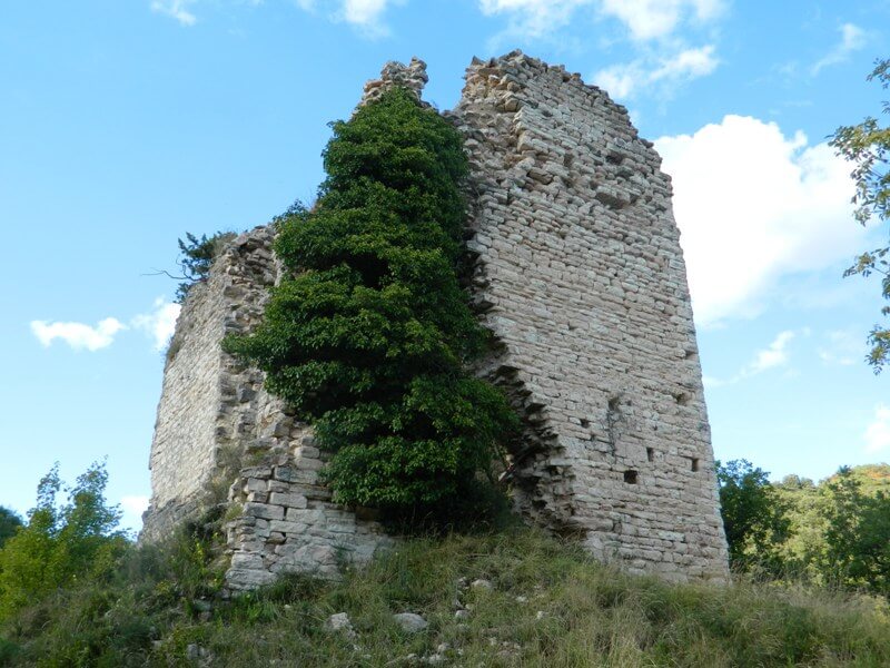 torricella fossombrone