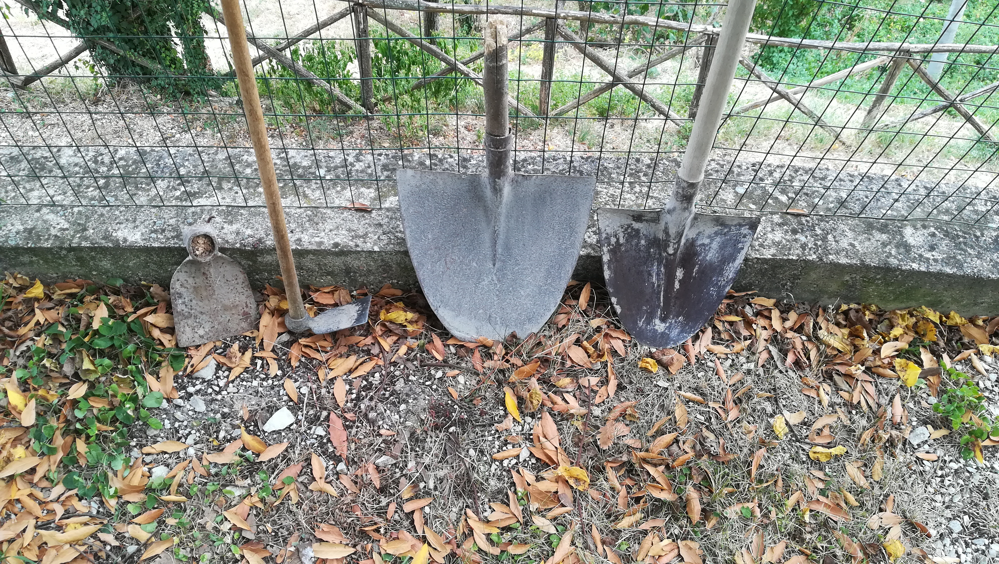 strumenti tommaso isidori montescatto